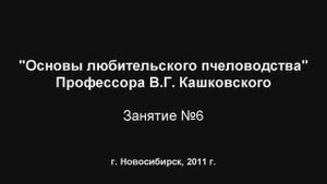 Занятие №6. Курсы В.Г. Кашковского.