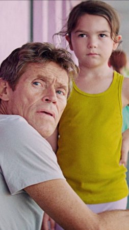 Проект «Флорида» ( 2017)