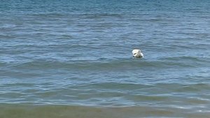 12.05.2025 Анапа море