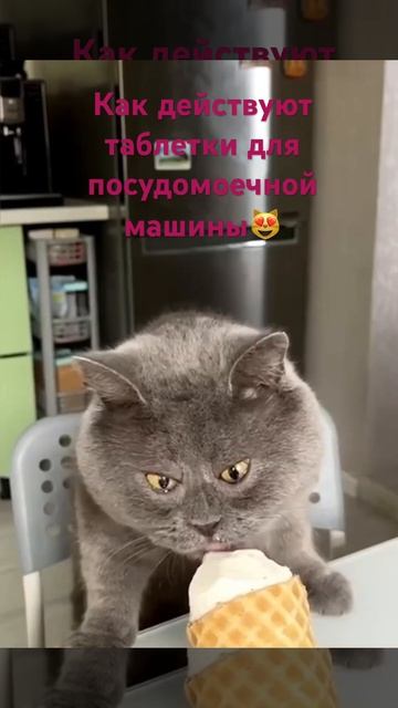 Съела 3 таблетки 💊 для посудомоечной машины,а посуду ? смотреть онлайн