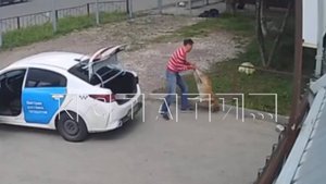 Курьер, хотевший спасти собаку, спас её так, что может быть возбуждено уголовное дело