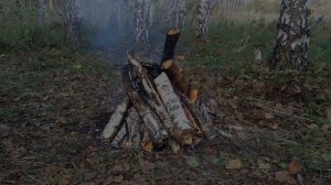 Физика 7 класс. Параграф №26. Вес тела.