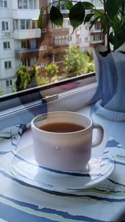 В чашку кофе☕