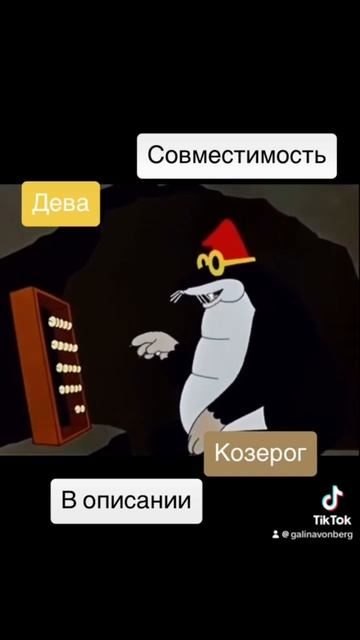 Совместимость Дева и Козерог - 100%