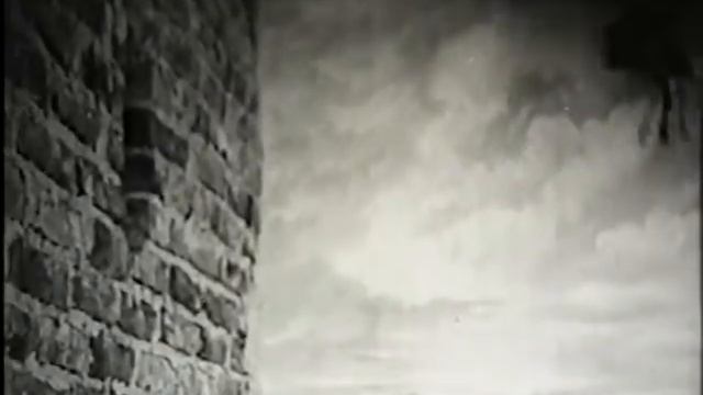 В мире животных. Научно-популярный, 1965 г. Франция смотреть онлайн