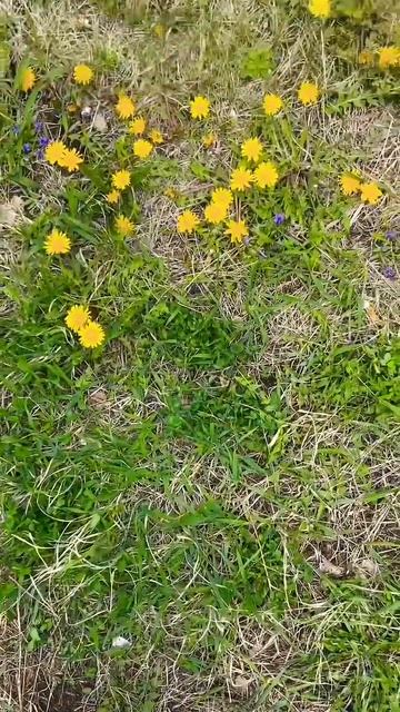 АПРЕЛЬ…ЧТО ИНТЕРЕСНОГО?#весна#жизнь #погода #природа # смотреть онлайн