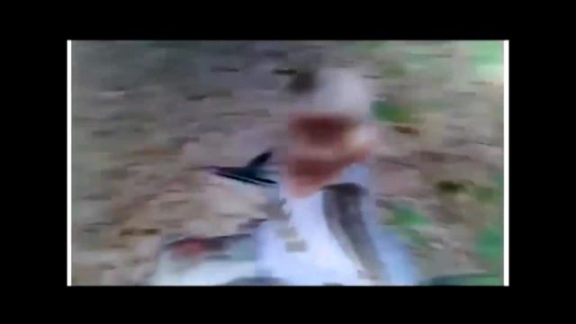 сталкер прикол доделаный 2