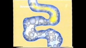 Первый канал — Анонсы, реклама [18.10.2008]