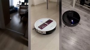 Отзывы о роботе пылесосе Polaris PVVR 1226