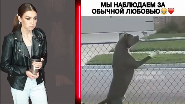 САМОЕ СМЕШНОЕ ВИДЕО В МИРЕ / Приколы 2020 / ЧЕЛЛЕНДЖ попробуй не засмеяться с Oliviya FUN #6 смотреть онлайн