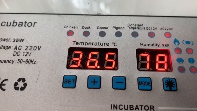 5,6,7 мая 2025г.Учим всех цыплят выходить на прогулку.Новая квочка😊 20,21 день инкубации в РЯБА 36 смотреть онлайн