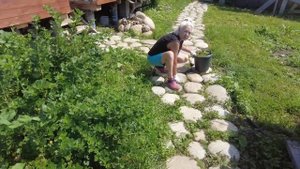 Загородь и другие дела. Жизнь в деревне после переезда.