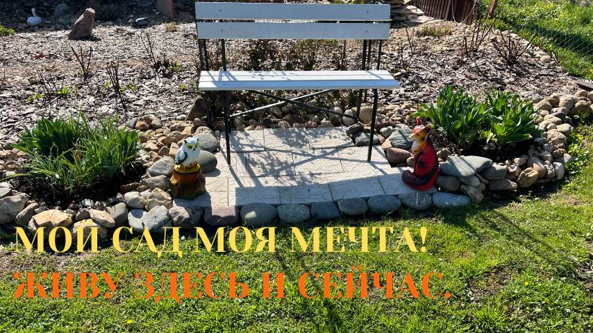 ОПЯТЬ МОРОЗЫ / ПОТЕРИ / БУДЕТ ЛИ ВИШНЯ / МАЛИНА и СТРИЖКА ГАЗОНА