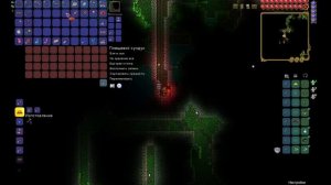 Террария: Что делать в Джунглях. Гайд для новичков и пр