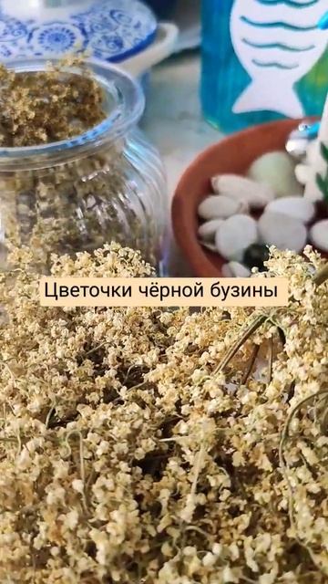Бузина чёрная Собираем цветочки,сушим,готовим полезн? смотреть онлайн
