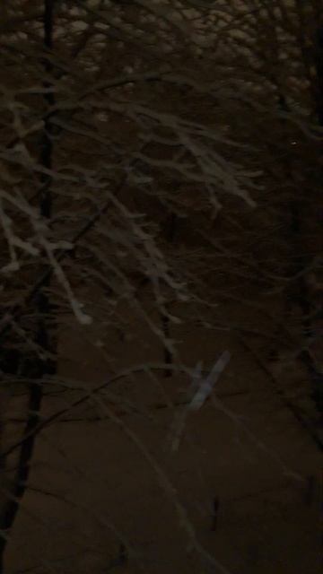 сегодня 28 декабря . Воронеж. какая у нас погода. смотреть онлайн