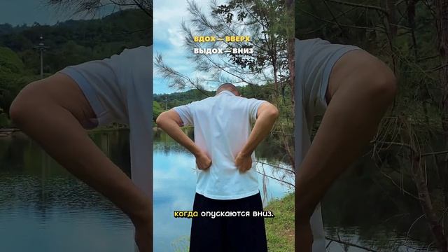 Боли в спине, лишний вес и постоянная усталость?