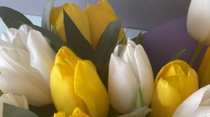 Учитель   -музыкальный подарок - педагогу Денисову Игорю Николаевичу  Заслуженному артисту РФ