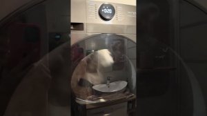 Обзор супер стиралки и сушки Midea! В восторге от качеств