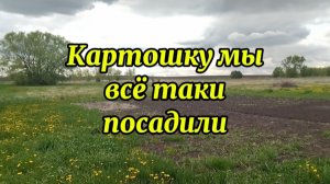 🥔Картошку мы всё таки посадили 🥔