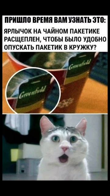 Чайник пакетик смотреть онлайн