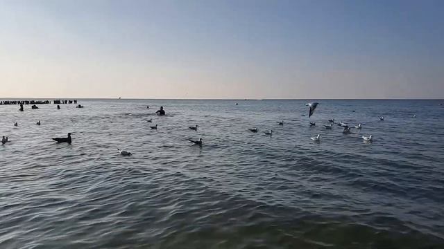 🌞Калининградская область, воздух в некоторых района?