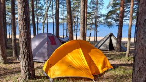 Праздничный велопоход 9-11 Мая. Зеленогорск - Приморск по береговой Финского залива