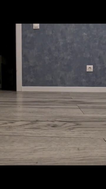 Жизнь глазами пылесоса #reels #роботпылесос смотреть онлайн