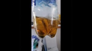 ремонт холодильника Дэо, забивает фильтр осушитель по