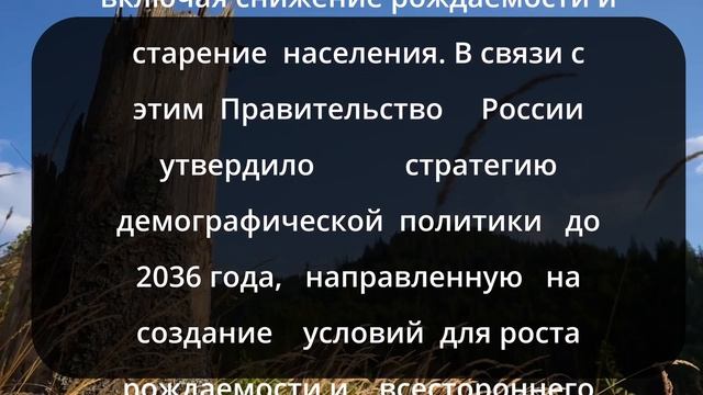 "Налоговый стимул для материнства: Госдума рассматрив