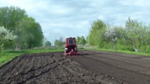 Посадка картошки 2025  г