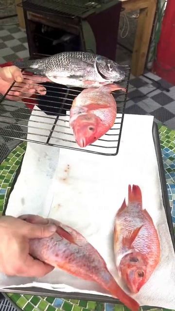 Копчение рыбы (Тилапия) смотреть онлайн