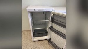 Холодильник Саратов 550