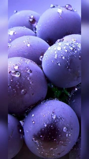 А знаешь ли ты? Виноград и микроволновая печь… #вин смотреть онлайн