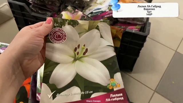 СЕМЕНА Овощей и САЖЕНЦЫ Многолетних растений🥦🌹 в “?