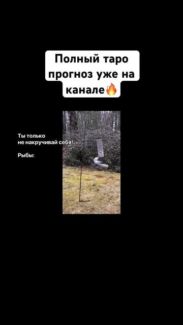 Рыбы, важно! #таро #таропрогноз #тарорыбы #прогнозрыбы #