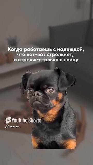 Чтобы в жизни стреляли только твои крутые идеи  #short #shor