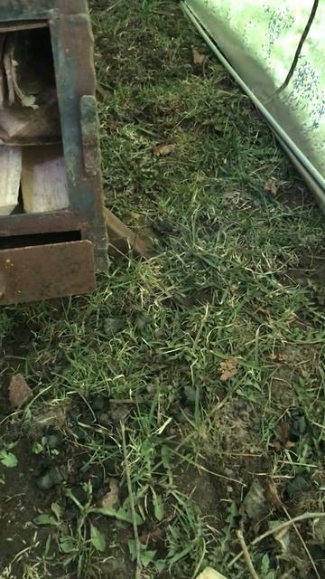 Мобильная баня Берег ПБ-3 смотреть онлайн