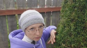 Видео привет с 6 соток 11 мая 2025 года.