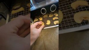 Высушил все фрукты!!! Обзор сушилки дегидратора Kitfort kt-1