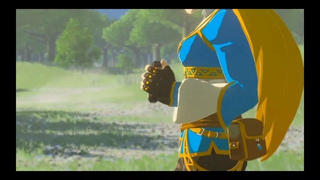 A M V  II  Zelda - Зельда и Линк
