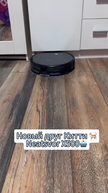 Я завела будильник пораньше и купила X500, как #Neatsvor #Роб? смотреть онлайн