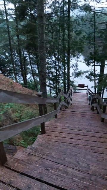 Как выглядит отдых в лесу в Канаде #shorts смотреть онлайн