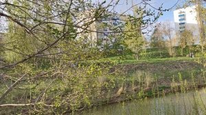 22 апреля 2025г. Прогулка по Набережной р. Стерли.г. Стерлитамак.