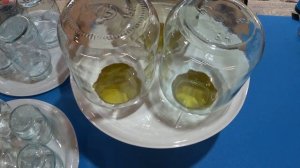 Этот необычный стерилизатор банок делает консервиров