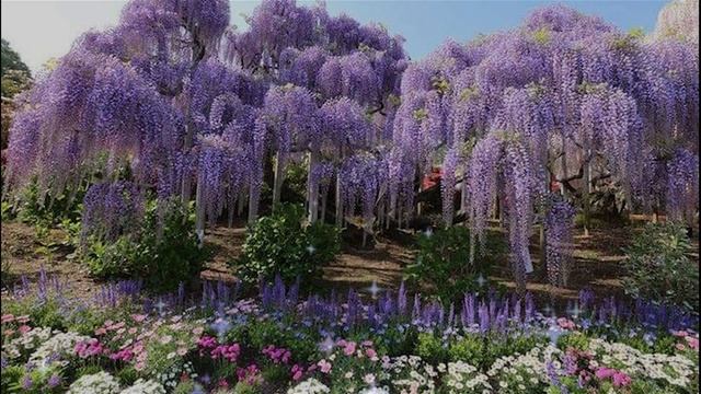 РАБОТАЕТ с Первого Раза! Гениальный Му Юйчунь о том, ка смотреть онлайн