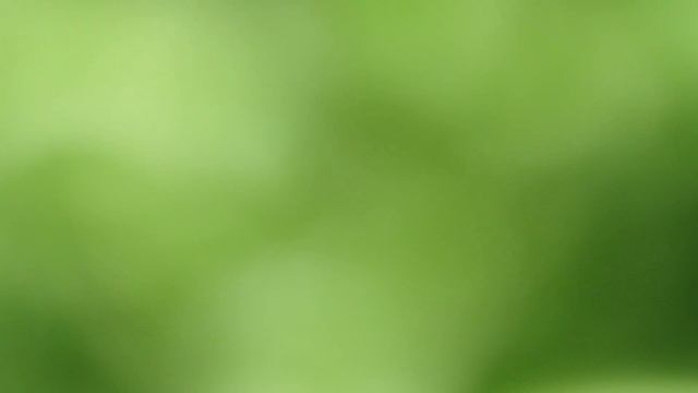 Candy - Быстрая 44 40с 900 об/мин Серия 4 смотреть онлайн