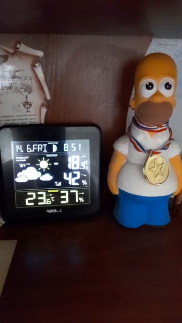 погода из Санкт-Петербурга #санктпетербург #погода смотреть онлайн