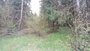 Видео WhatsApp 2025-05-12 в 14.02.54_a0cb0ecf