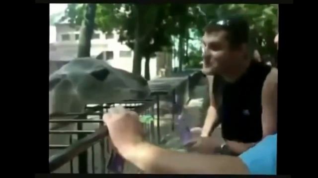 Видео Приколы ( Горячая Штучка # 5 ) смотреть онлайн